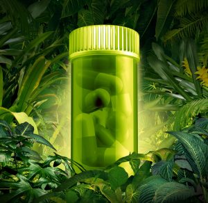 FDA Warns about kratom, AOC uses proven suboxone treatment mat treatment